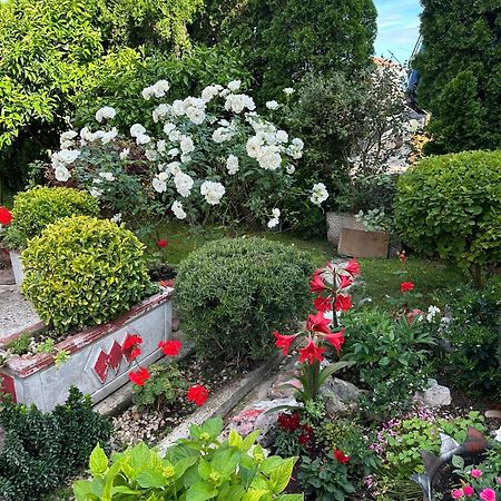 Apartament Green Oasis Kotor Zewnętrze zdjęcie
