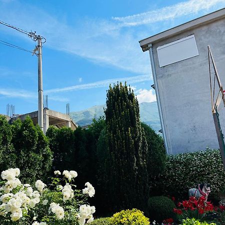 Apartament Green Oasis Kotor Zewnętrze zdjęcie