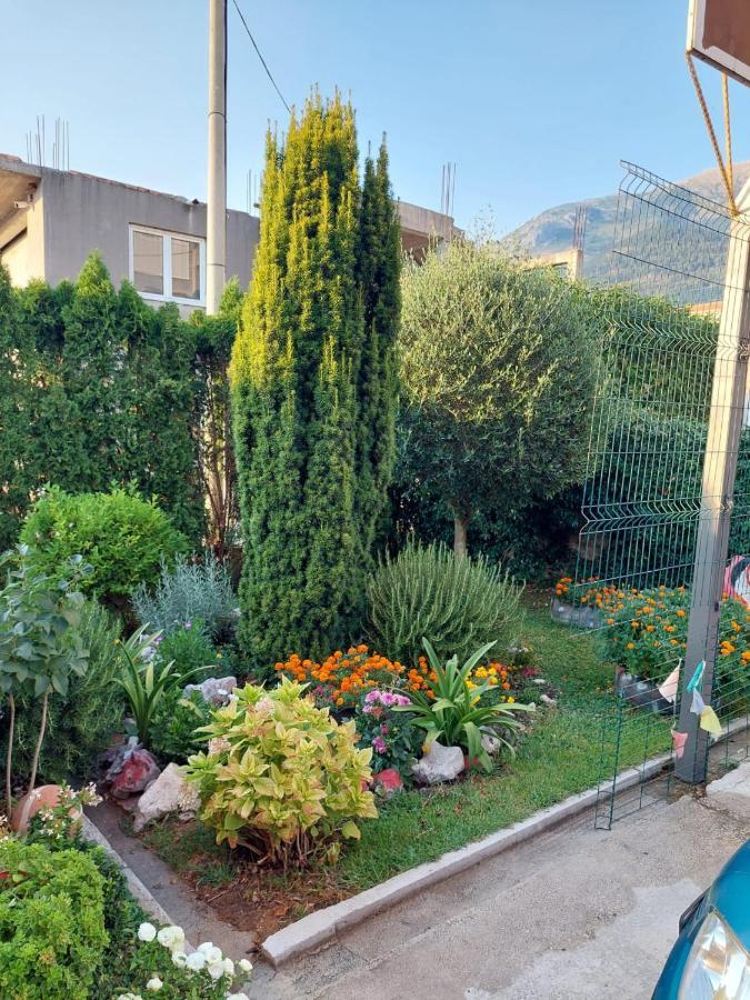 Apartament Green Oasis Kotor Zewnętrze zdjęcie