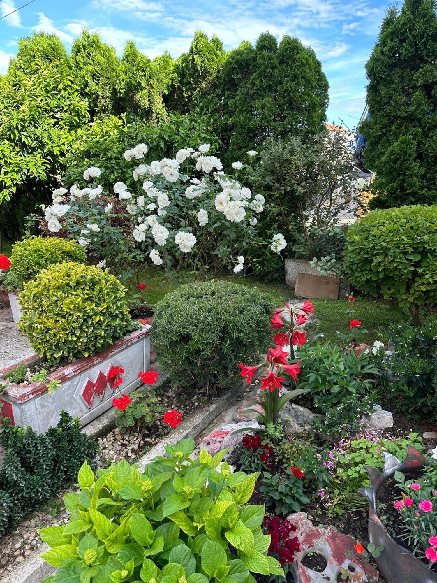 Apartament Green Oasis Kotor Zewnętrze zdjęcie