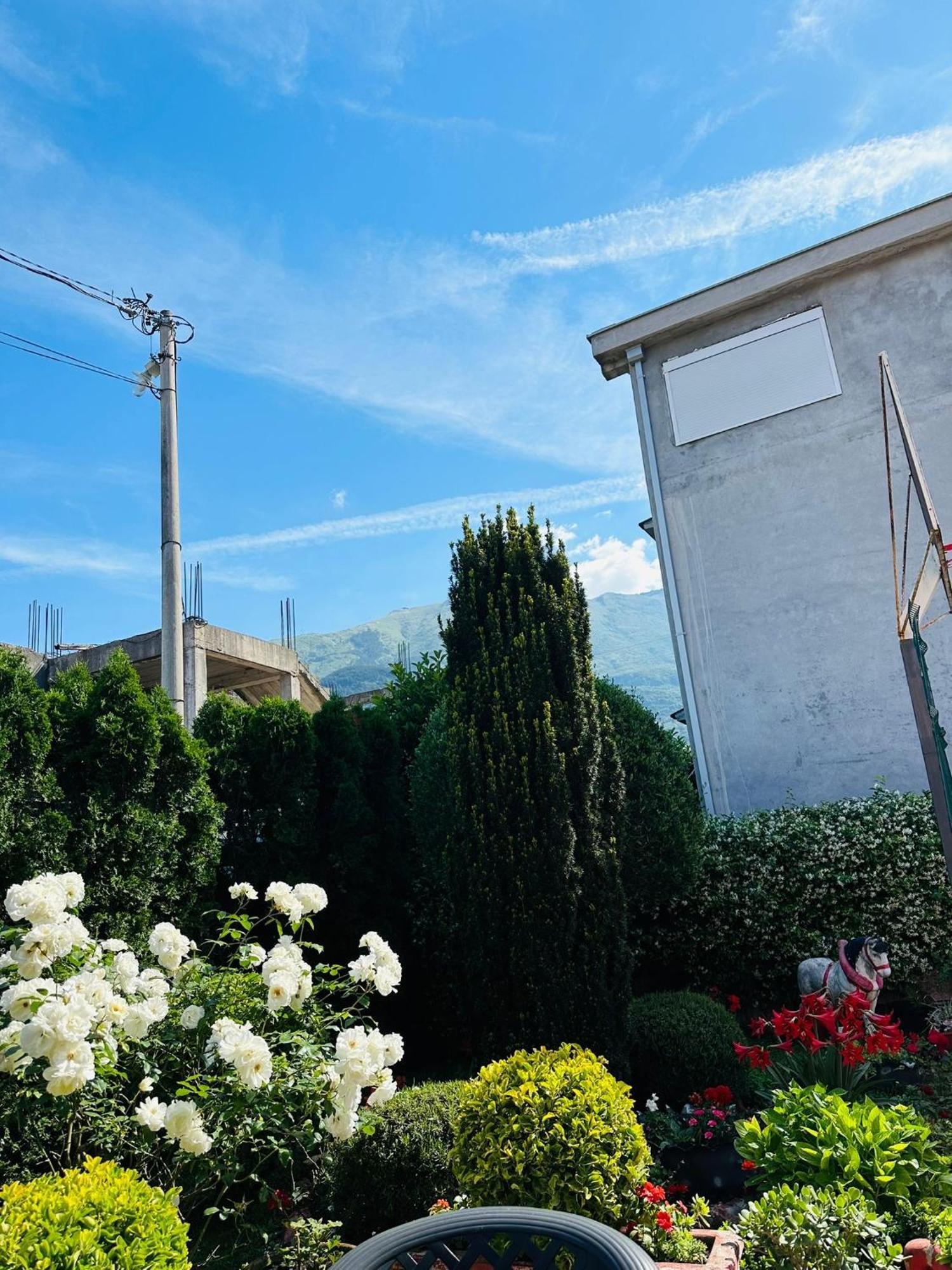 Apartament Green Oasis Kotor Zewnętrze zdjęcie